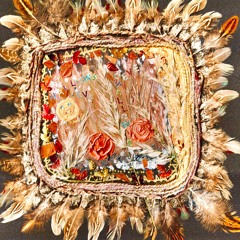 The Web That Spins The Night