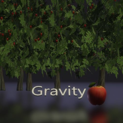 Gravity
