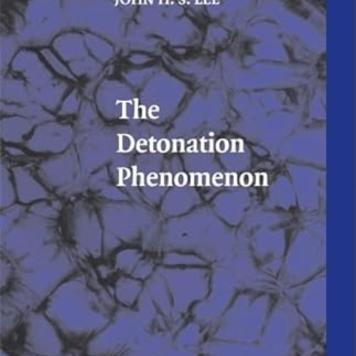 [Read] PDF 💕 The Detonation Phenomenon by  John H. S. Lee [PDF EBOOK EPUB KINDLE]