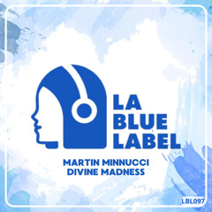 Martin Minnucci - Divine Madness (Original Mix)