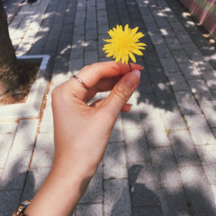 alexandro querevalu | clouds of sunset 🌥