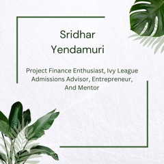 Carbon Markets And Project Finance: Sridhar Yendamuri’s Path To Sustainability Leadership