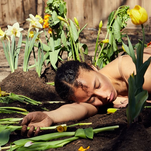 June Digest: Time and Rest with Dominica Greene