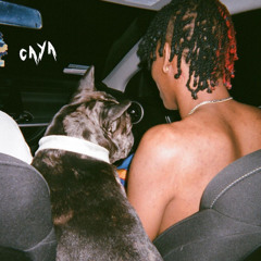 Rick Owens- Dc The Don Snippet