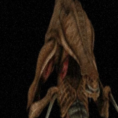 zergi (music by zhidus)