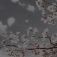 bts - dead leaves ( slowed )