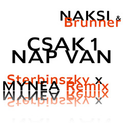 Csak 1 nap van (Sterbinszky x MYNEA Remix Short)
