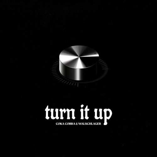 Coka Cobra & Walschlager  - Turn It Up