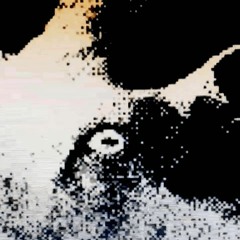 Succubus (Satan's Satyrs cover)