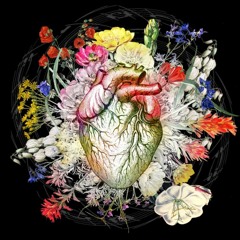 Forget Me Not - III. Human Heart