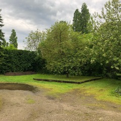 blüh nicht zu früh