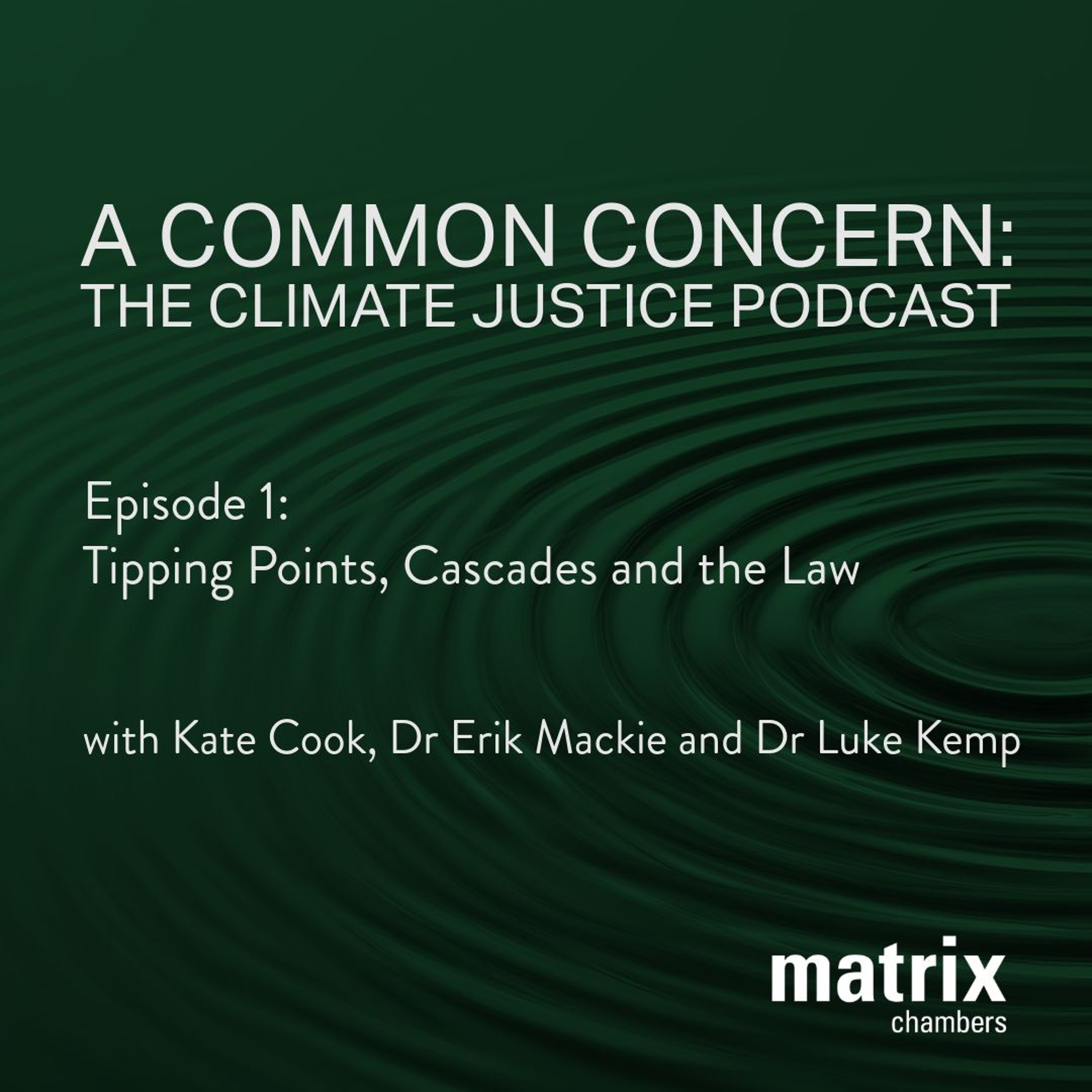 A Common Concern: The Climate Justice Podcast - Tipping Points, Cascades and the Law