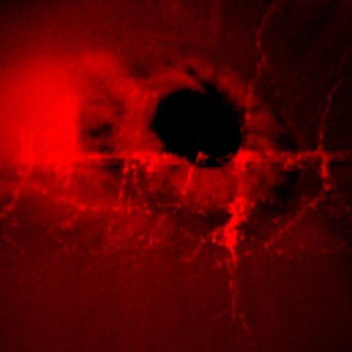 TITUZ - Fingers Crossed