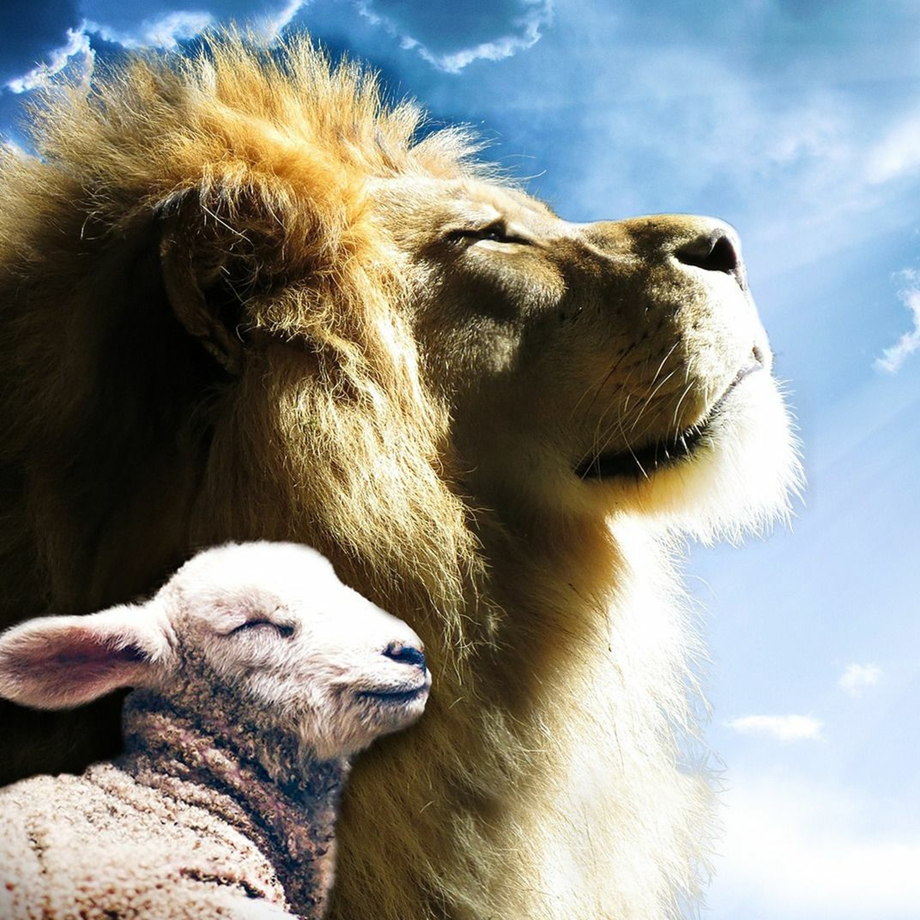 FOT God's Kingdom Established on Earth episode artwork