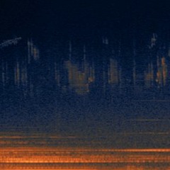 Gong&Nature Soundmeditation