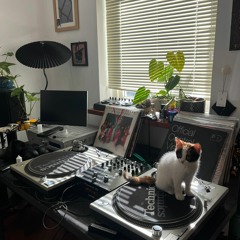 26 December 2022 Vinyl Mix ( Little December)