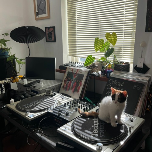 Stream 26 December 2022 Vinyl Mix ( Little December) by truffle.wolf