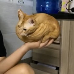 Week But Not Weak #3