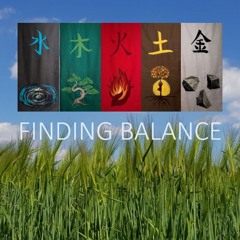 Balancing the 5 elements with shiatsu