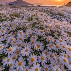 반짝이는 별이 되어야만 행복할 수 있을까