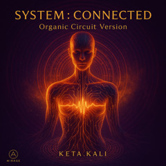 SYSTEM : CONNECTED