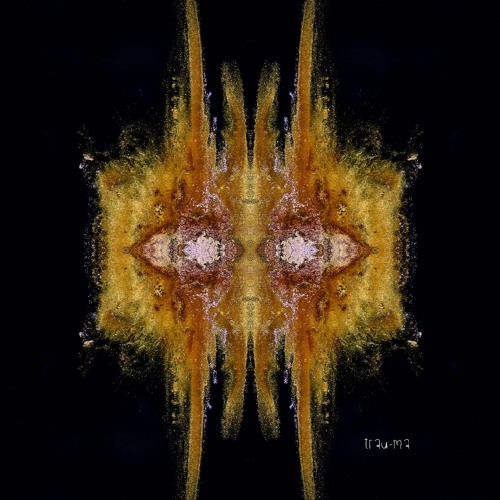 DT:Premiere | Mayfie - Echoes in Silence [trau-ma]