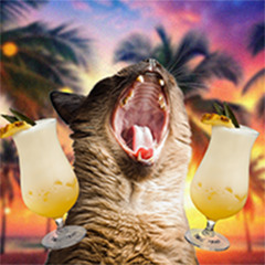 🐕🐷🦁🙀🐴🐠🦅