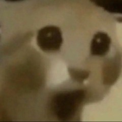 ooooooo