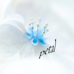 petal