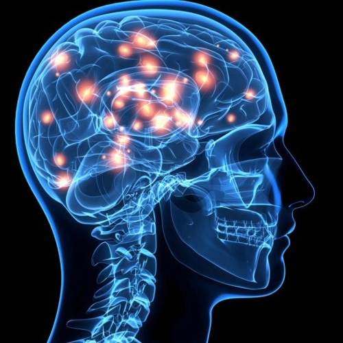 Как Мозг Формирует Воспоминания?  | 4everScience