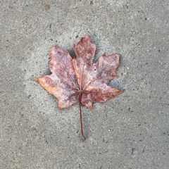 prøver forandre meg