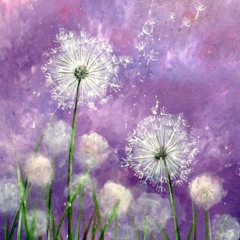 Anastasia Skinny - Dandelion (ShAnkAri touch)