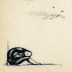 The Nest