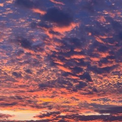 who knows? winter'24 mix