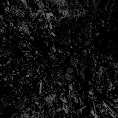 Rigatoni (Migos acapella)