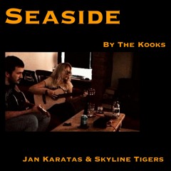 Seaside by The Kooks - Jan Karatas & Skyline Tigers