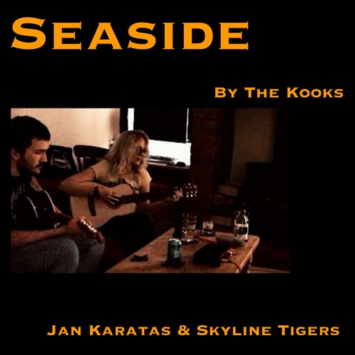 Seaside by The Kooks - Jan Karatas & Skyline Tigers