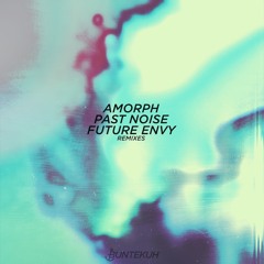 Amorph - Past Noise / Future Envy Remixes