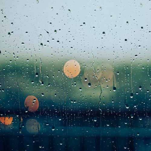 Rainy Dayz
