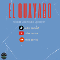 El Huapango del guayabo