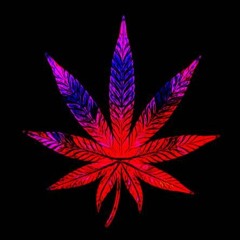 DRUGS (Tai Verdes Cover) - Danny Moon