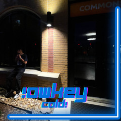 !owkey
