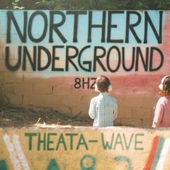 THEATA  WAVES-8HZ