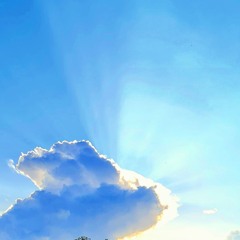 Eternal Peace