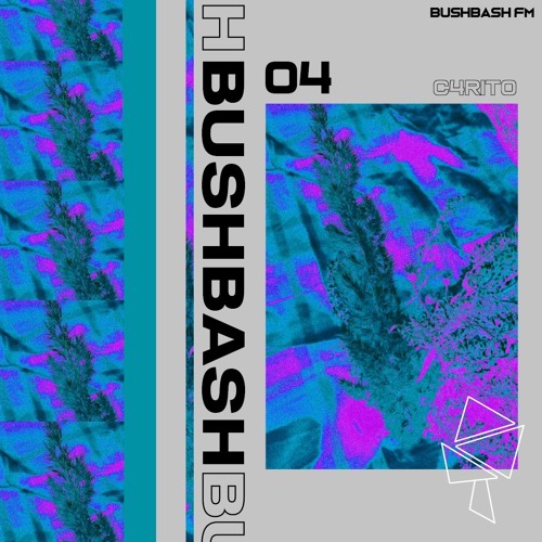 BUSHBASH FM__04 // C4RiTO