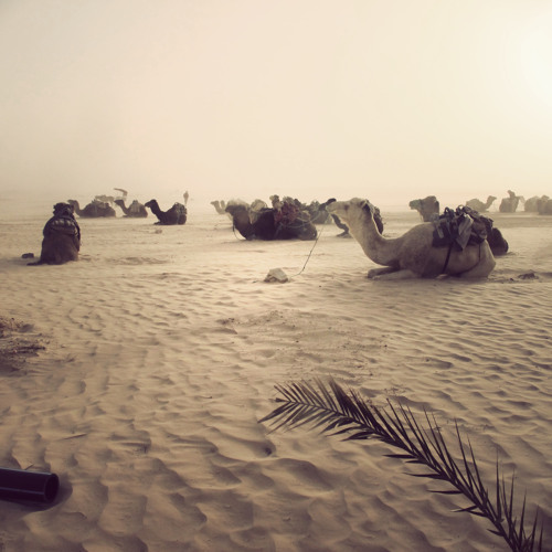 We Can Go Everywhere (Iñigo Vontier Remix)