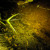 Artwork for Tadpole Party