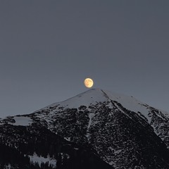 w h i s t l e and…