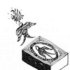 The Devil May Care (Mom And Dad Don't) / The Brian Jonestown Massacre