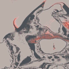 ...and Invert Yourself
